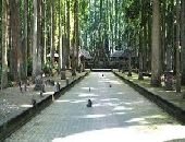 Monkey Forest Alas Kedaton