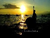 Bali Dolphin Lovina Tour