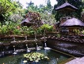 Sebatu Temple Holy Spring Tour
