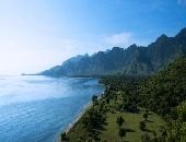 The Resort View