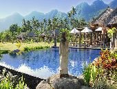 The Resort View