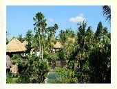 The Resort View